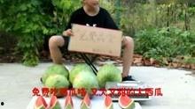 搞笑娱乐吃瓜视频,笑到肚子疼！