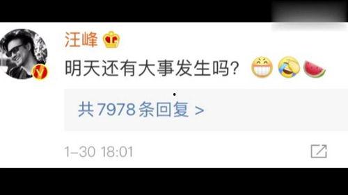 娱乐718吃瓜网,揭秘娱乐圈最新“瓜田”盛况