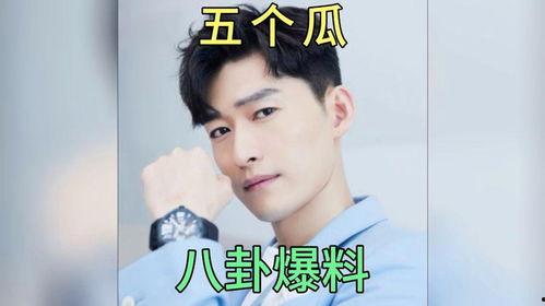 娱乐圈明星吃瓜顺序,从绯闻到真相，一网打尽！