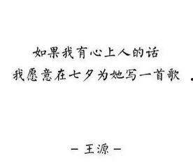 娱乐吃瓜群众歌曲大全歌词,歌曲大全歌词背后的故事与情感