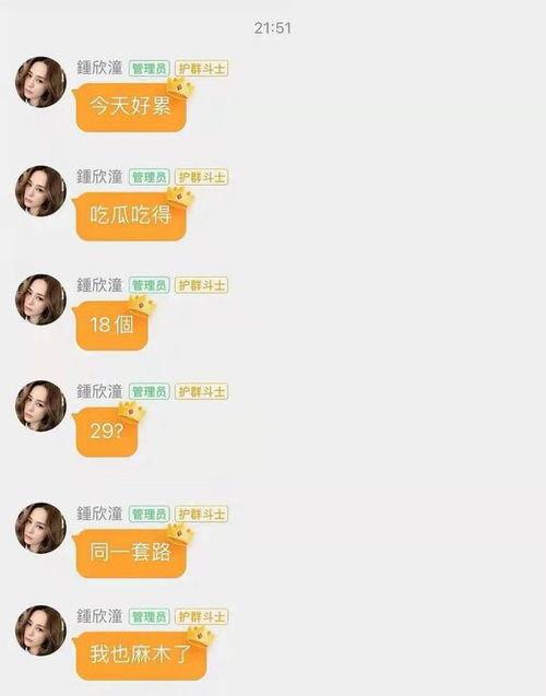 娱乐吃瓜文件,吃瓜群众背后的真相大揭秘