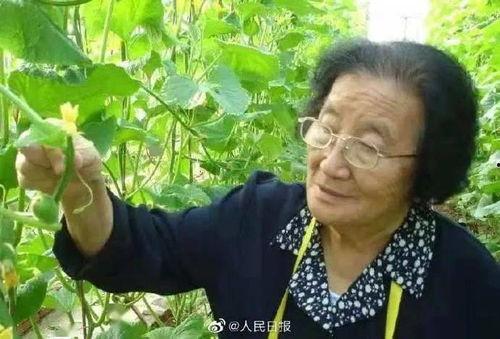 娱乐吃瓜酱人多的地铁,娱乐吃瓜酱成热门话题