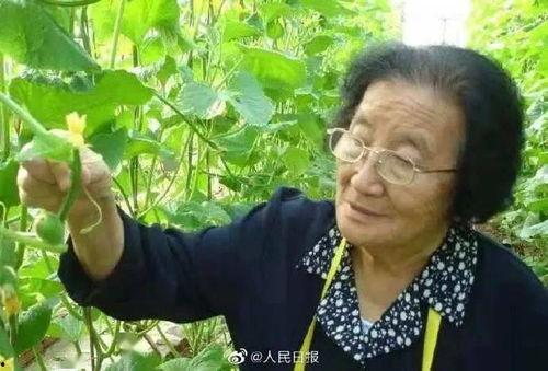 娱乐吃瓜菌人世间,人世间趣味横生的八卦故事