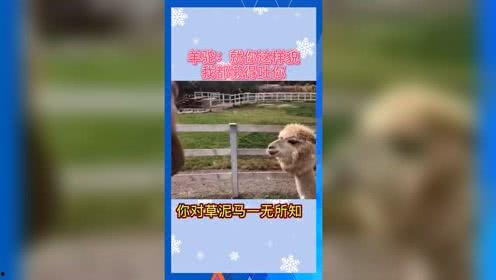 娱乐吃瓜群众冲冲冲,揭秘娱乐圈幕后故事