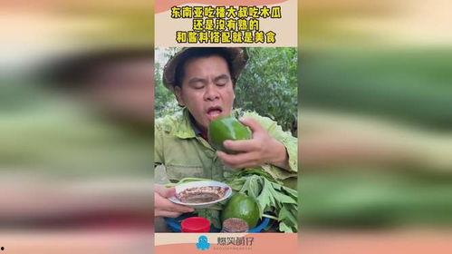 娱乐吃瓜酱大叔免费阅读