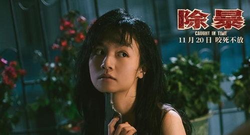 娱乐圈吃瓜鹅有匪,吃瓜鹅揭秘“有匪”背后的故事