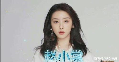 吃瓜娱乐赵小,吃瓜娱乐界的风云人物